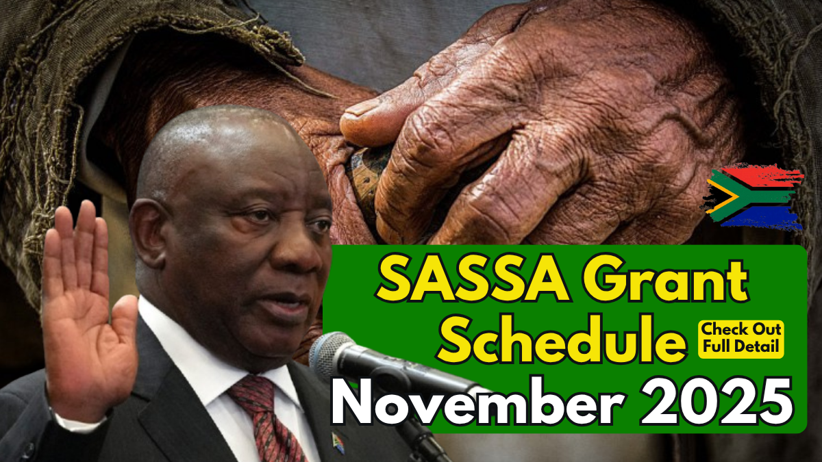 SASSA November 2025 Grant Schedule by Category and Province