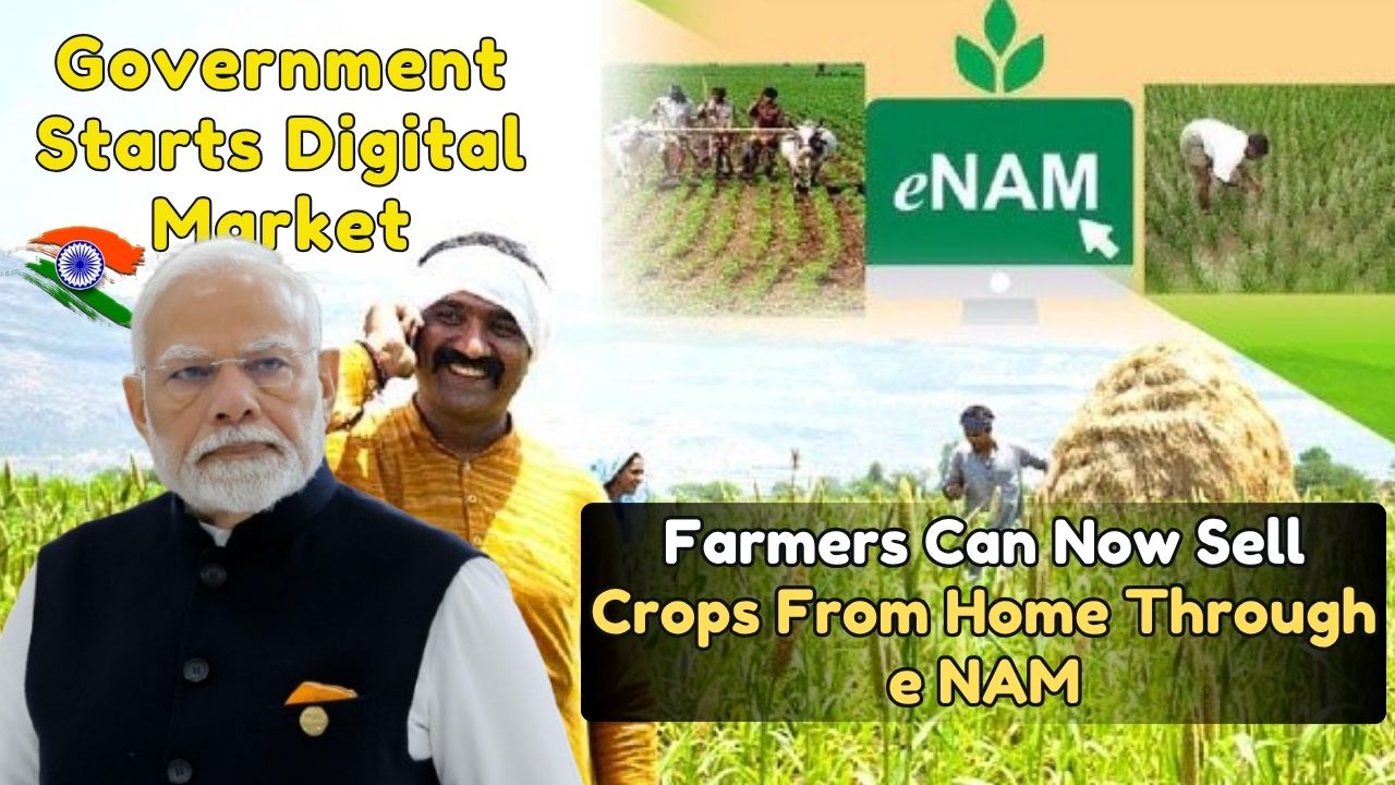 Government Starts Digital Market: Farmers Can Now Sell Crops From Home Through e NAM