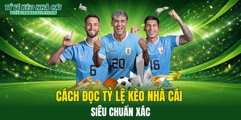 Hướng dẫn đọc tỷ lệ kèo nhà cái cực chính xác 