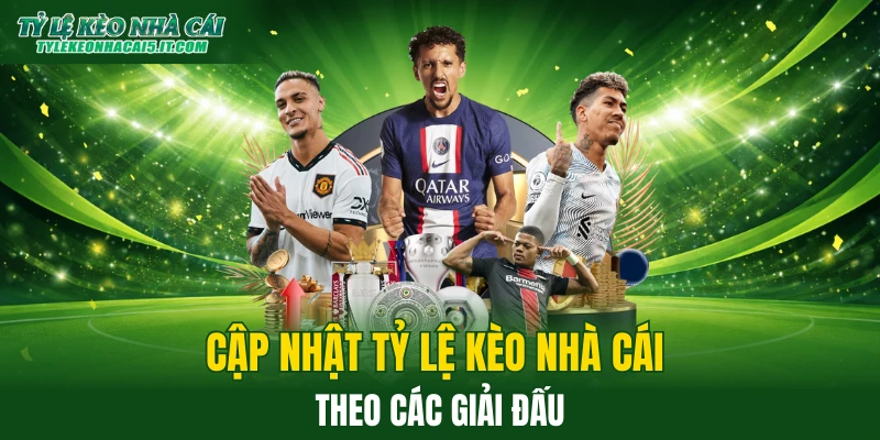 Hướng dẫn bạn cập nhật tỷ lệ kèo đơn giản 