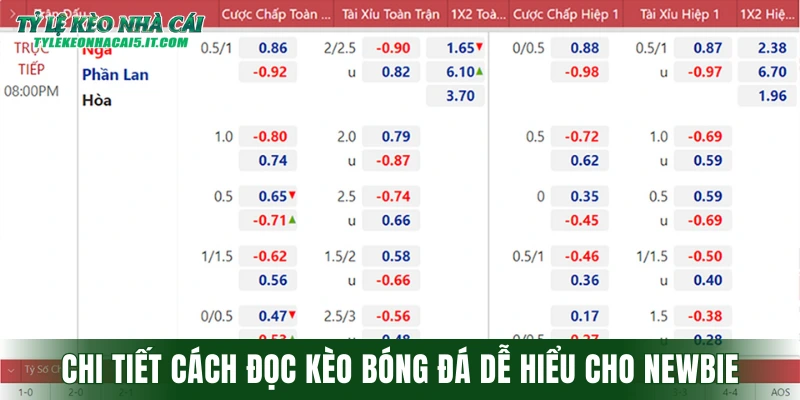 Chi tiết cách đọc kèo bóng đá dễ hiểu cho newbie