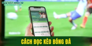 Cách Đọc Kèo Bóng Đá