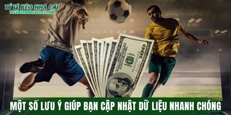 Một số lưu ý giúp bạn cập nhật dữ liệu nhanh chóng