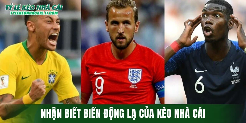 Nhận biết biến động lạ của kèo nhà cái
