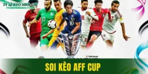 Soi Kèo AFF Cup
