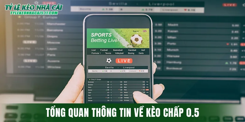 Tổng quan thông tin về kèo chấp 0.5