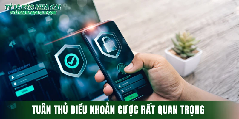 Tuân thủ điều khoản cược rất quan trọng 