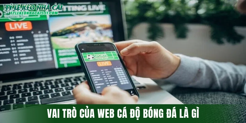 Vai trò của web cá độ bóng đá là gì